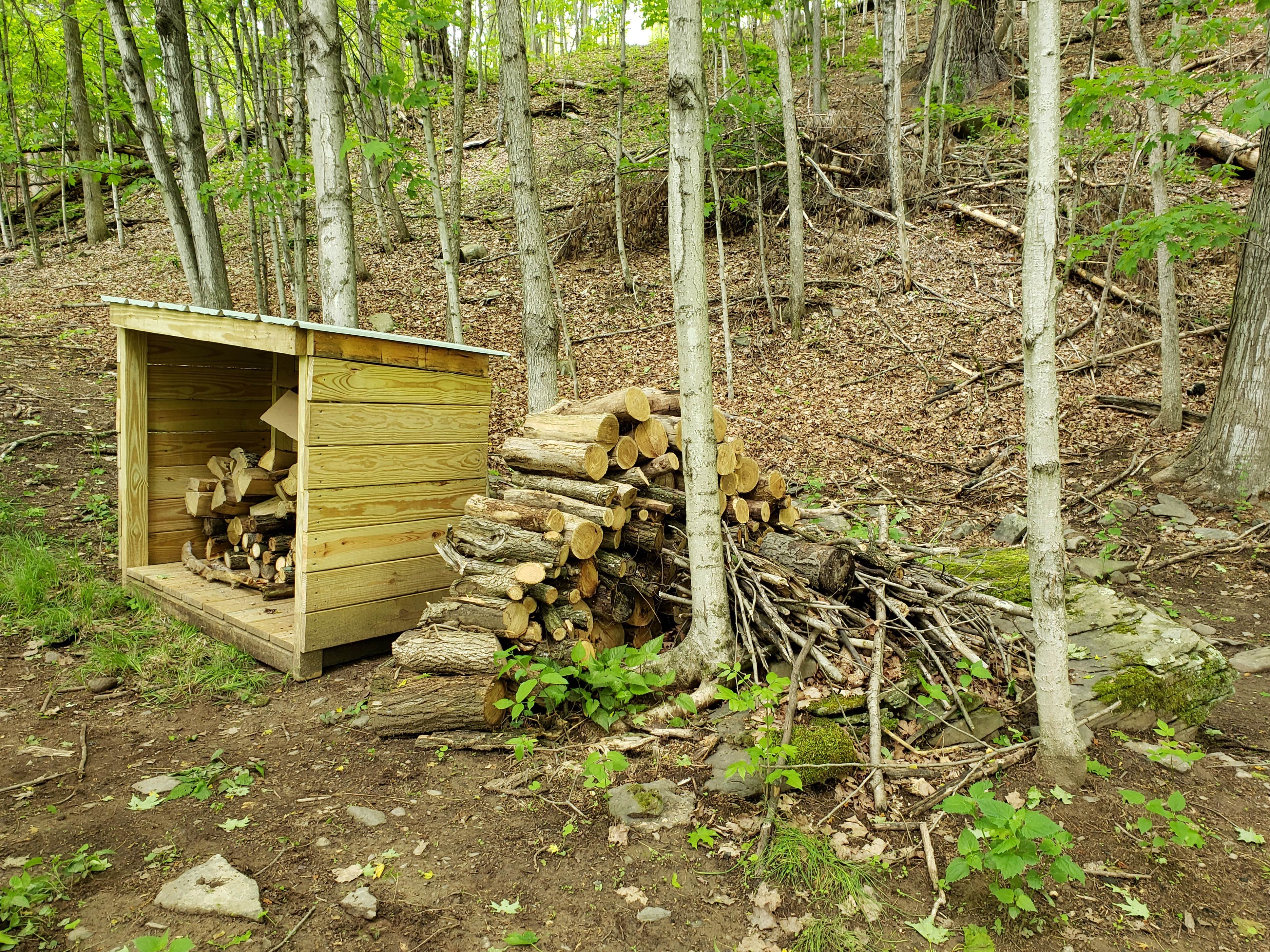 The Dyrt's photo of glamping accommodations at Camp Creekside near North Blenheim, NY