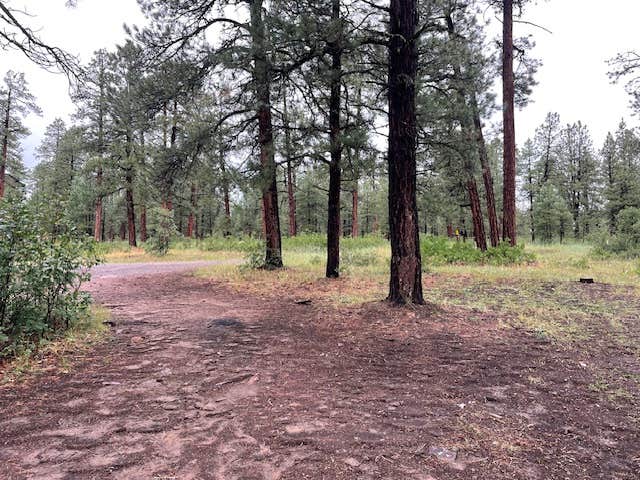 Camper-submitted photo at Turkey Springs near Pagosa Springs, CO