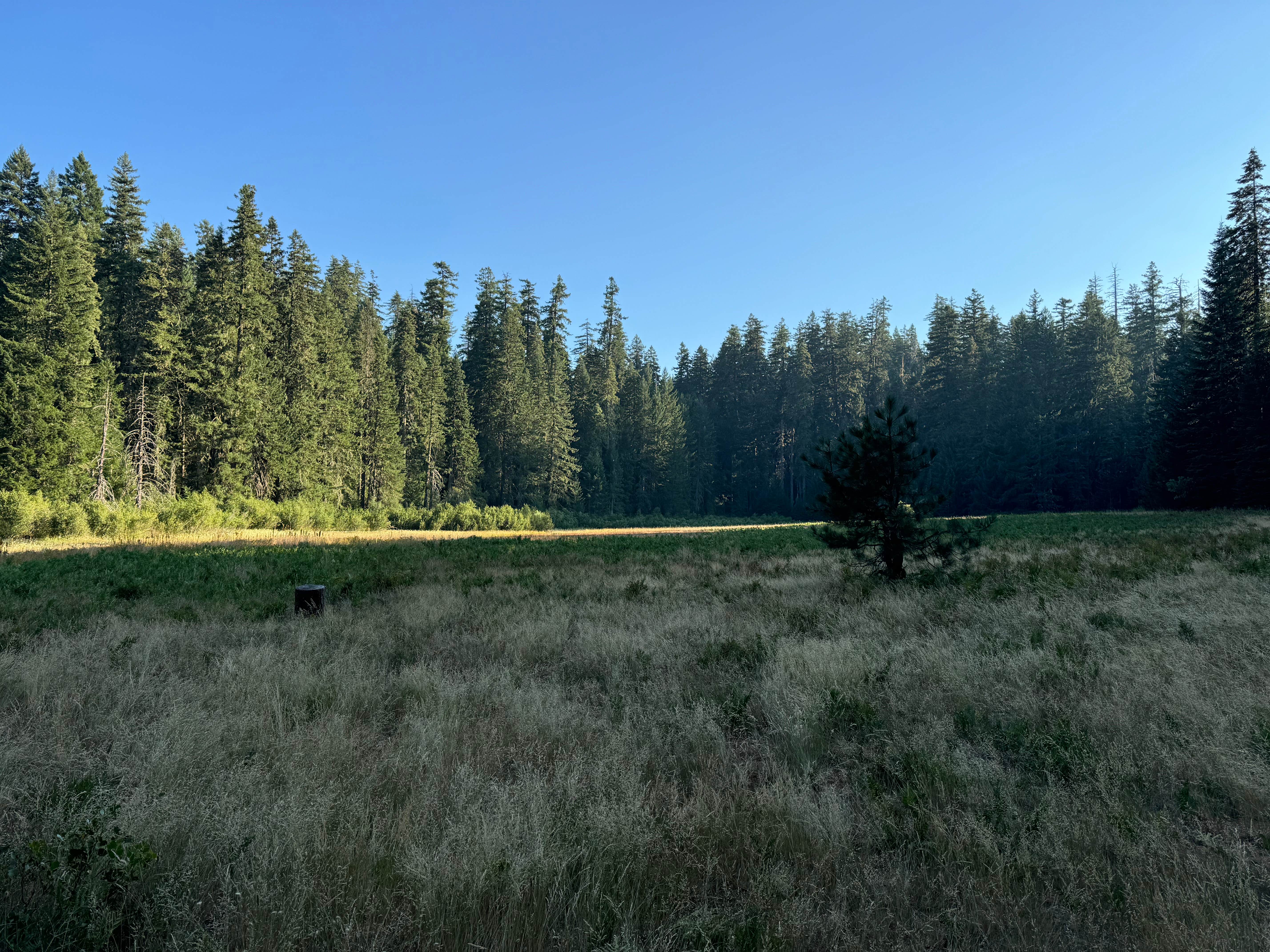Camper-submitted photo at Groves Prairie Dispersed Camp near Arcata, CA