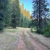 Review photo of Groves Prairie Dispersed Camp by Greg B., August 12, 2024