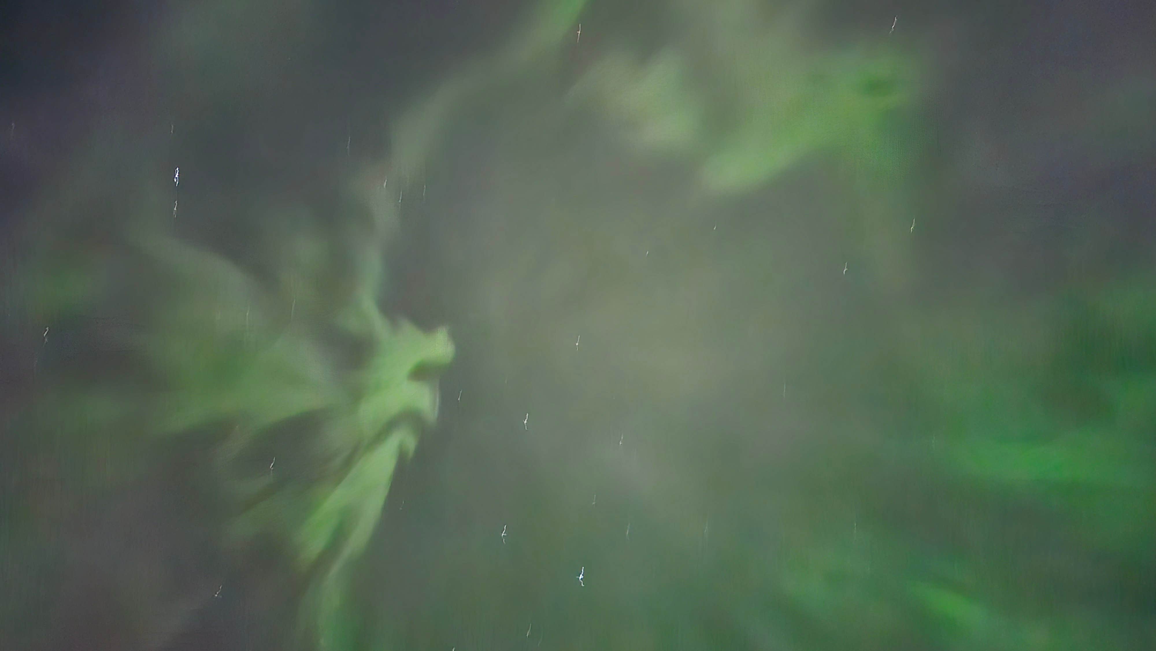 Camper-submitted photo at L'Anse Township Park & Campground near Big Bay, MI