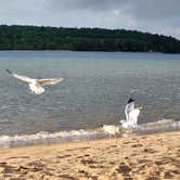 Review photo of Munising Tourist Park Campground by Chuck M., August 13, 2024