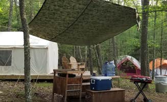The Dyrt's photo at Stonecutters Ledge near Lake Katrine, NY