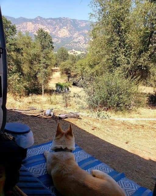Rob H.'s photo of tent camping at Camp ikigai Animal Sanctuary 501c3 near Seven Pines, CA