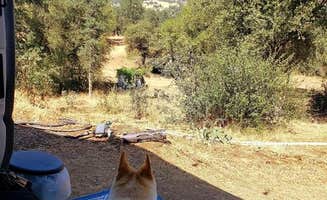 Rob H.'s photo at Camp ikigai Animal Sanctuary 501c3 near Hanford, CA