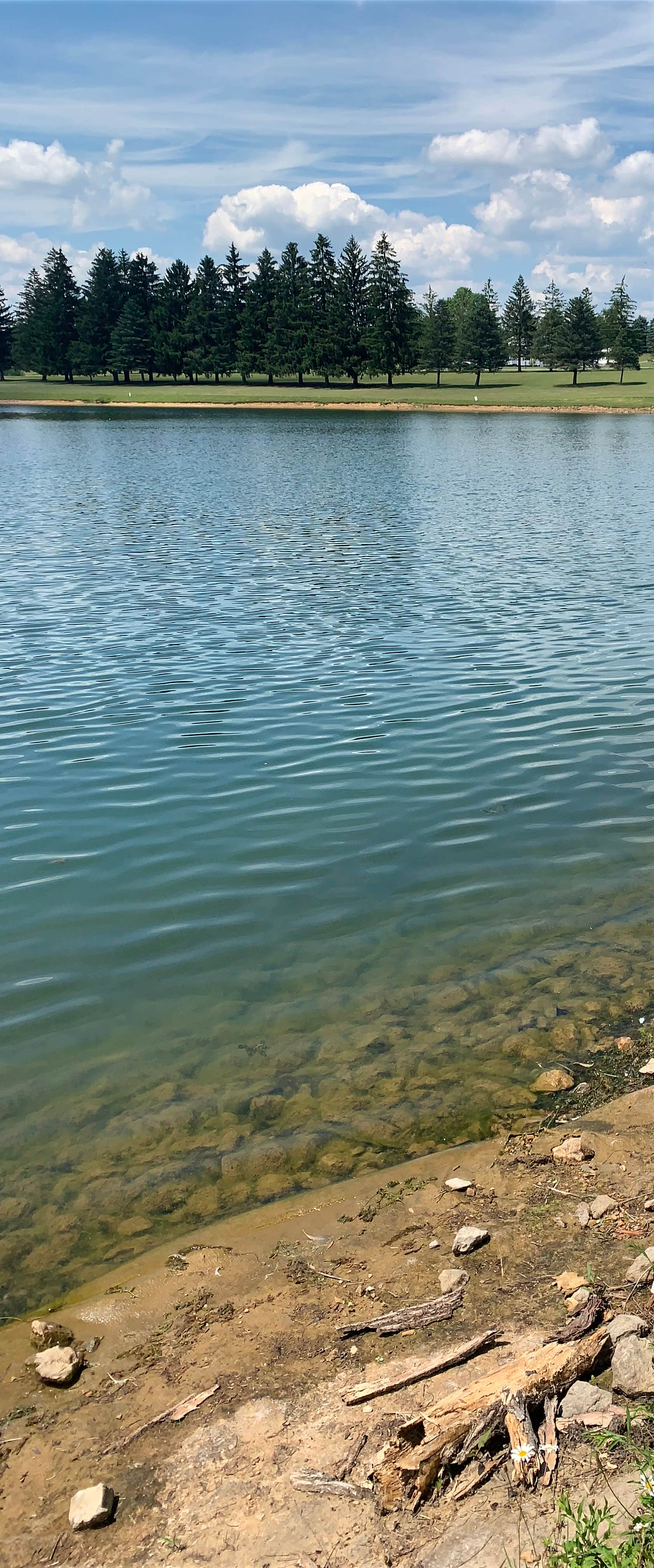 Camper-submitted photo at Wolfs Camping Resort near Leeper, PA