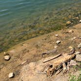 Review photo of Wolfs Camping Resort by Owen I., August 13, 2024