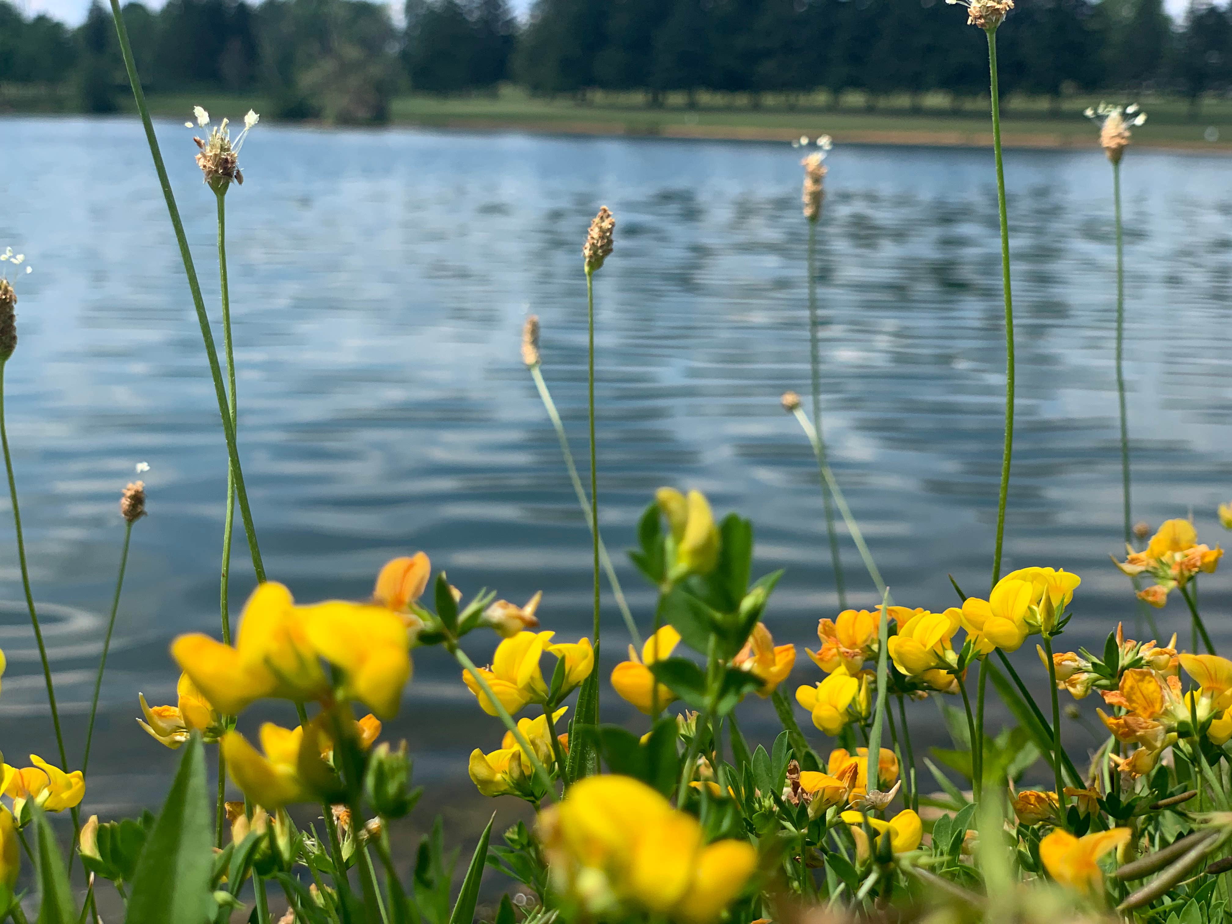 Camper-submitted photo at Wolfs Camping Resort near Leeper, PA