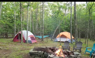The Dyrt's photo at Stonecutters Ledge near Lake Katrine, NY