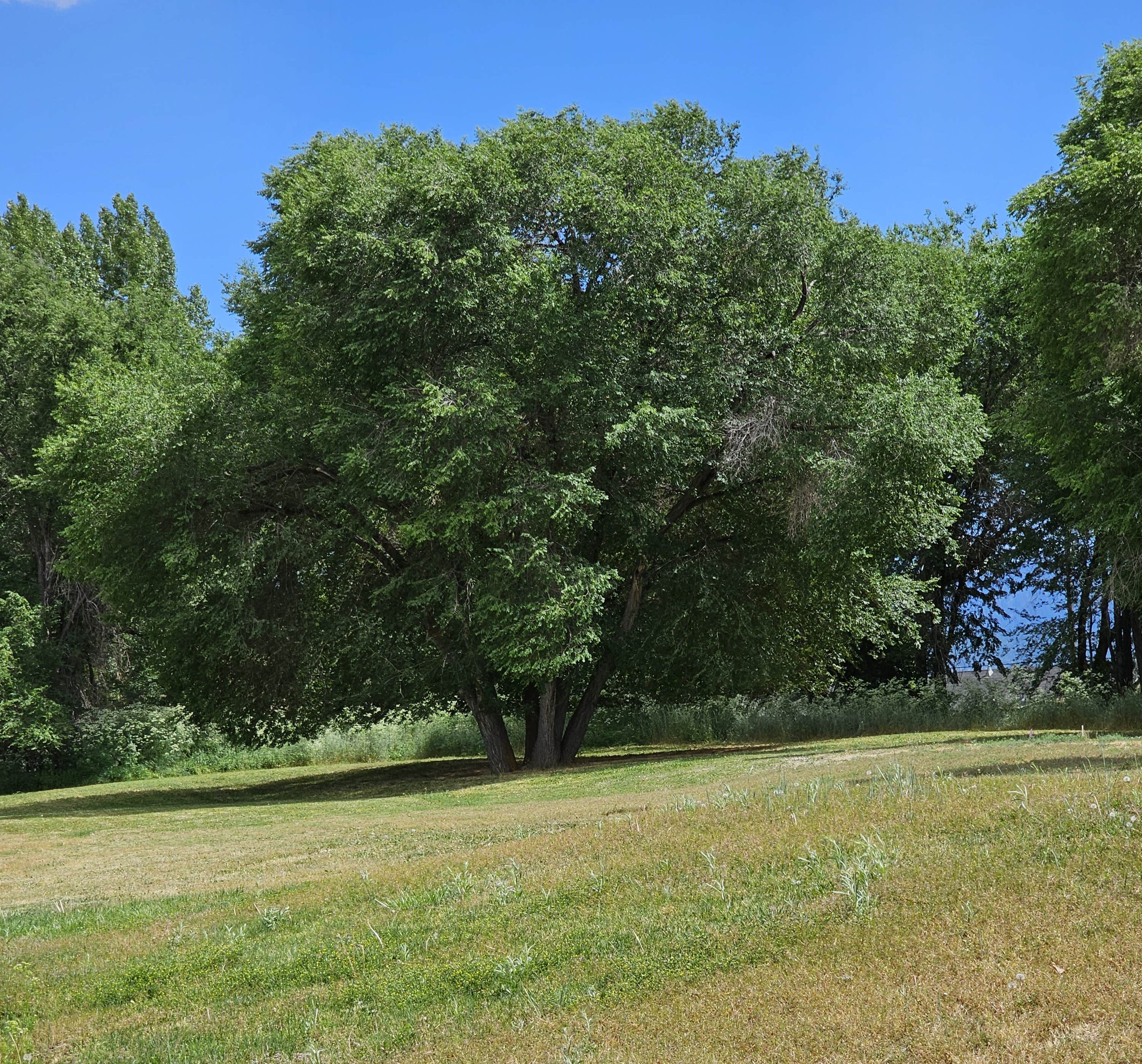 Camper-submitted photo at Susanville RV Park near Lassen Volcanic National Park