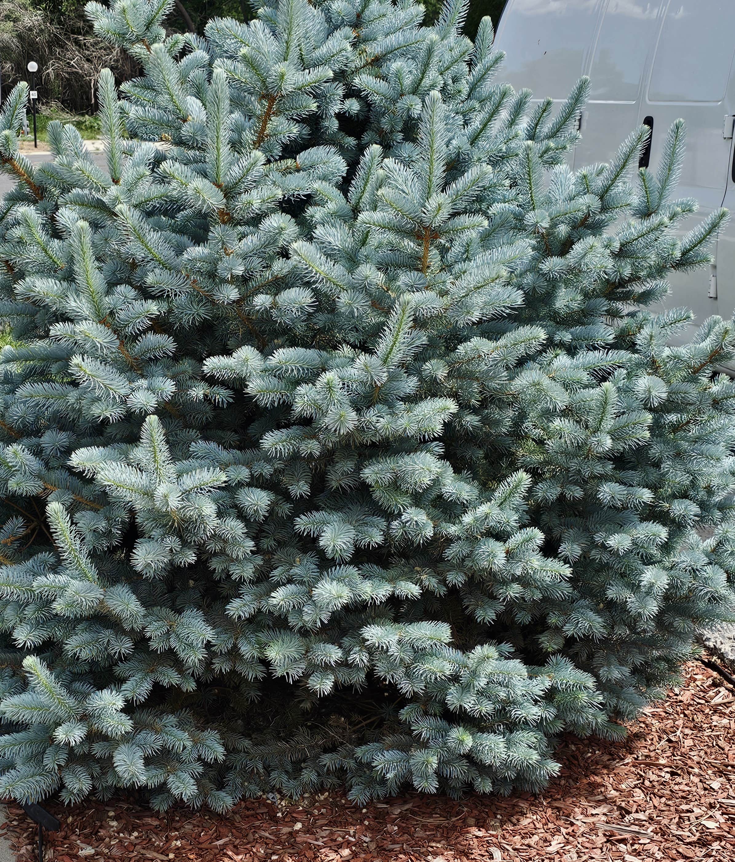 Camper-submitted photo at Susanville RV Park near Lassen Volcanic National Park