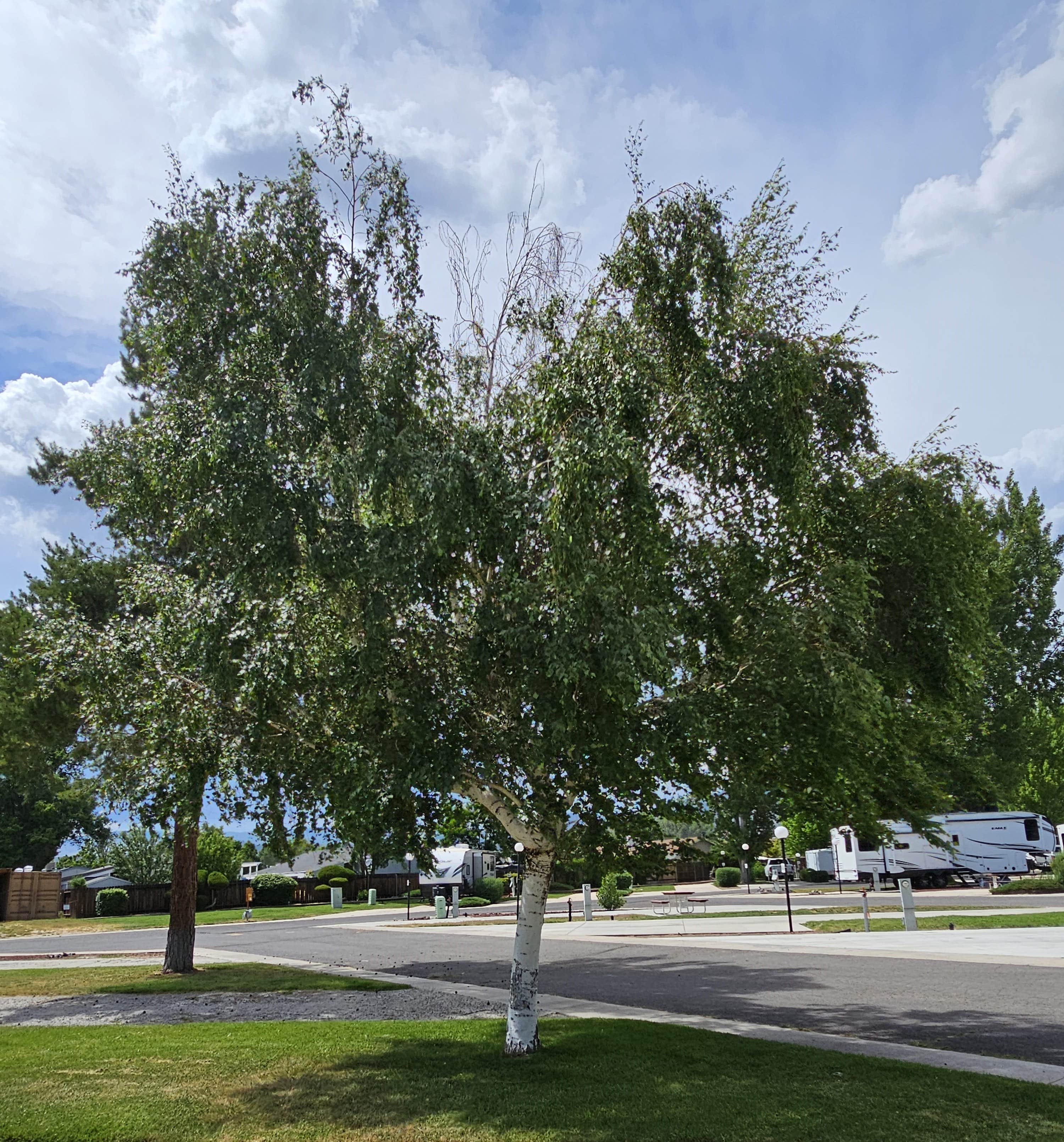 Camper-submitted photo at Susanville RV Park near Susanville, CA
