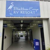 Review photo of Blue Heron Escape RV Resort by Erich H., August 14, 2024