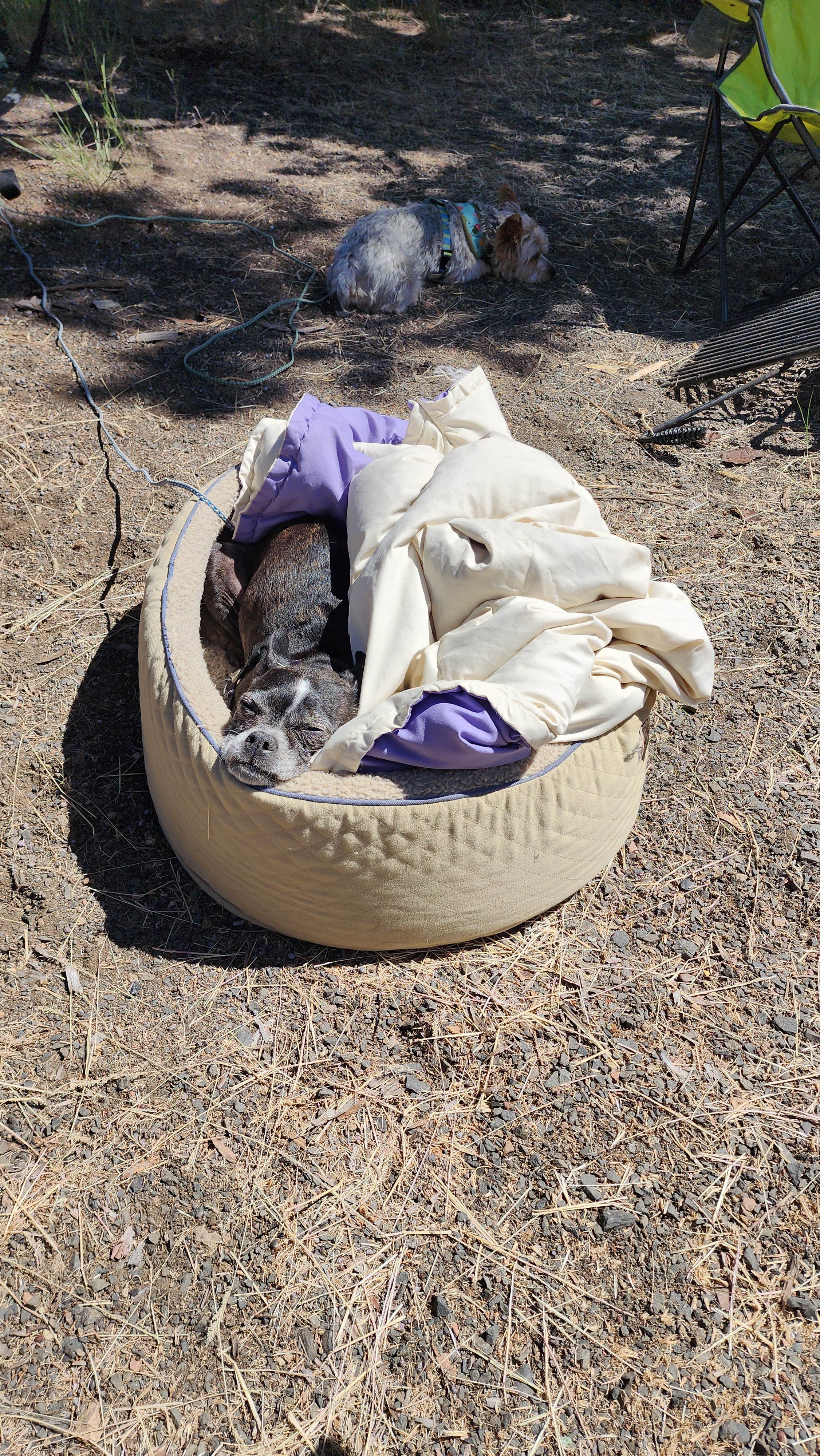 Camper-submitted photo at Haystack Reservoir Campground (East Shore) near Culver, OR