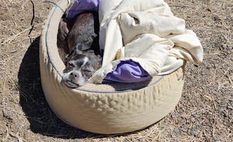 Mike's photo of camping with pets at Haystack Reservoir Campground (East Shore) near Madras, OR