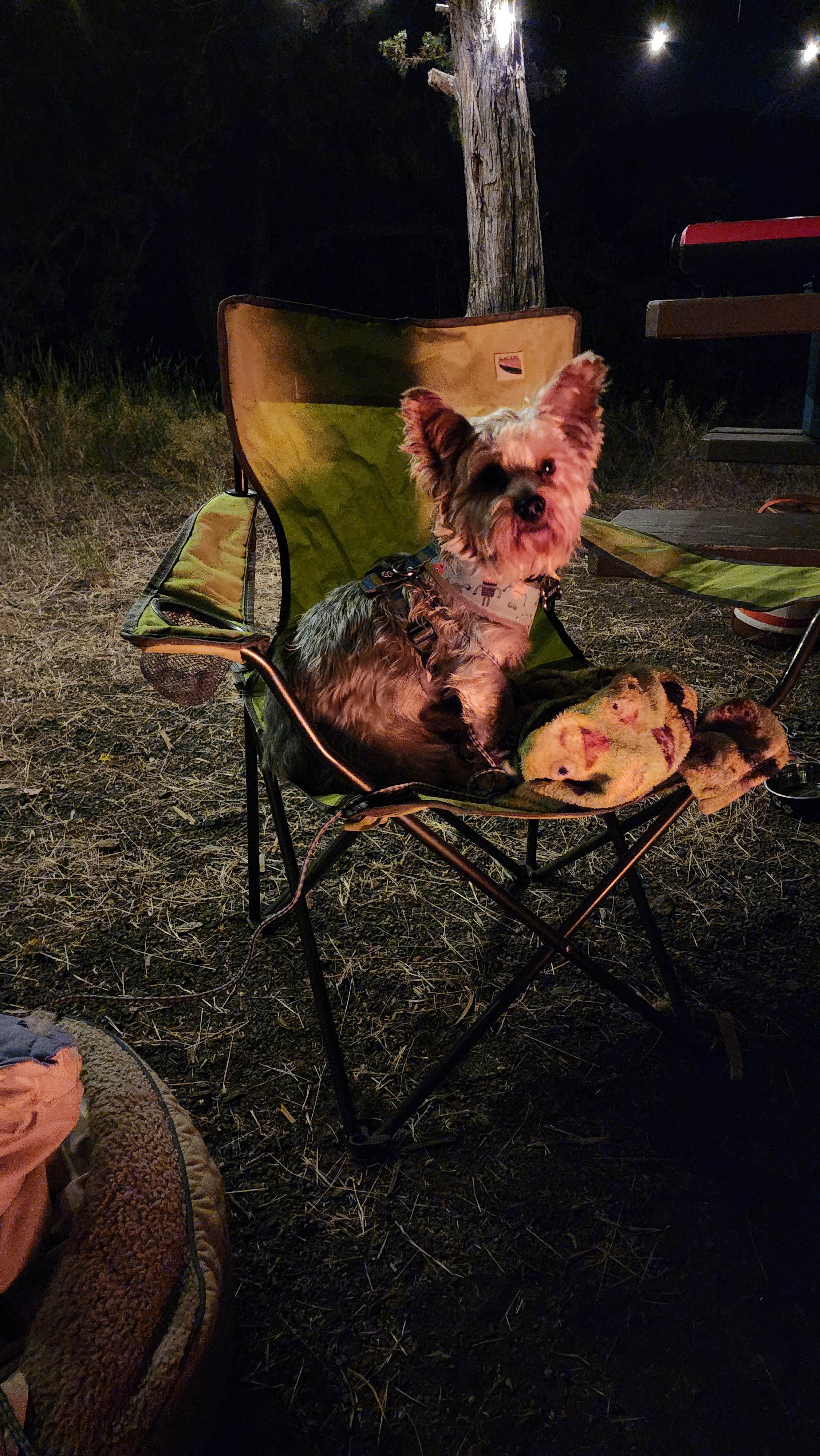 Camper-submitted photo at Haystack Reservoir Campground (East Shore) near Culver, OR