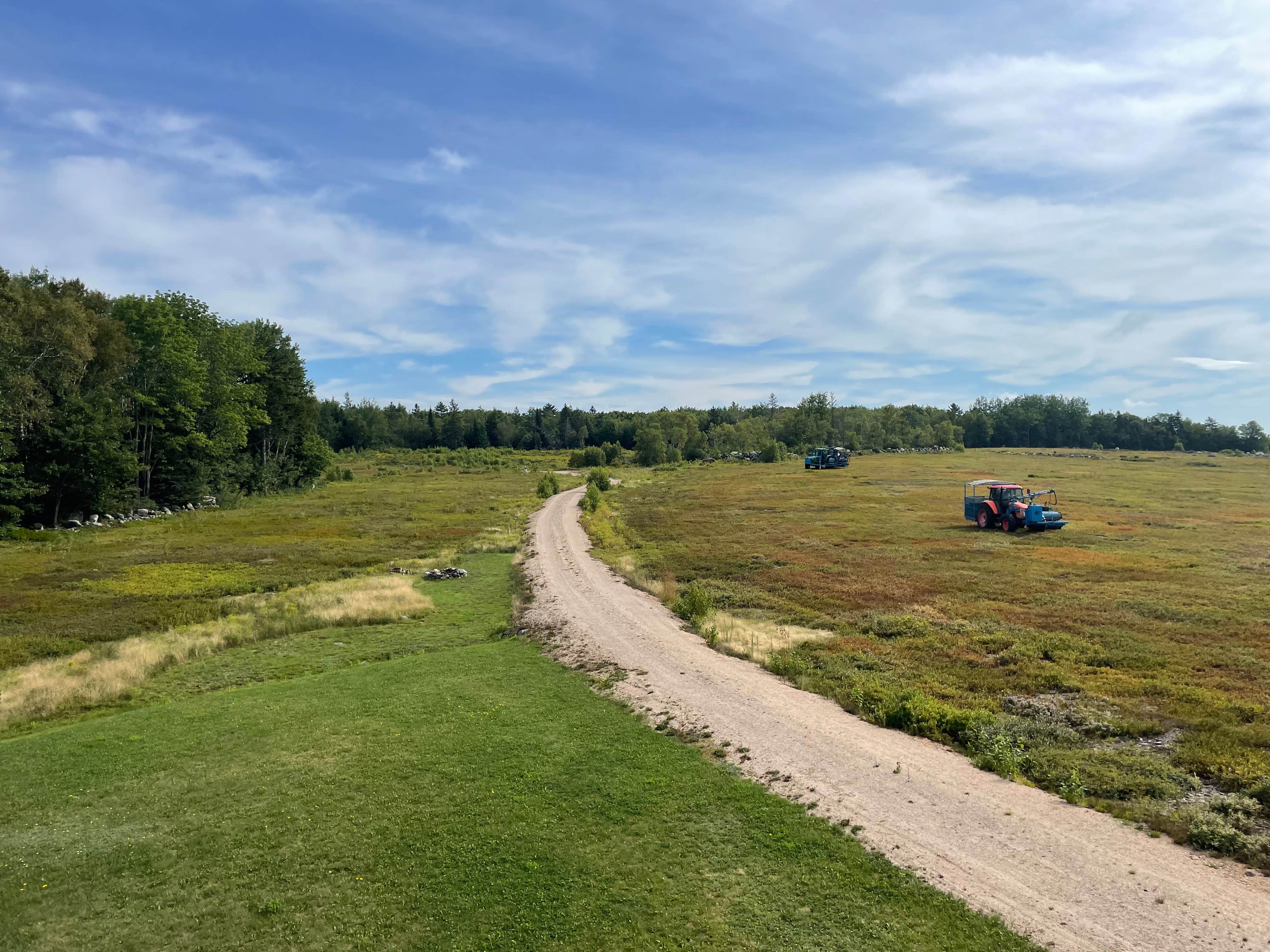 Camper-submitted photo at Maine Wild Blueberry Bliss near Alna, ME