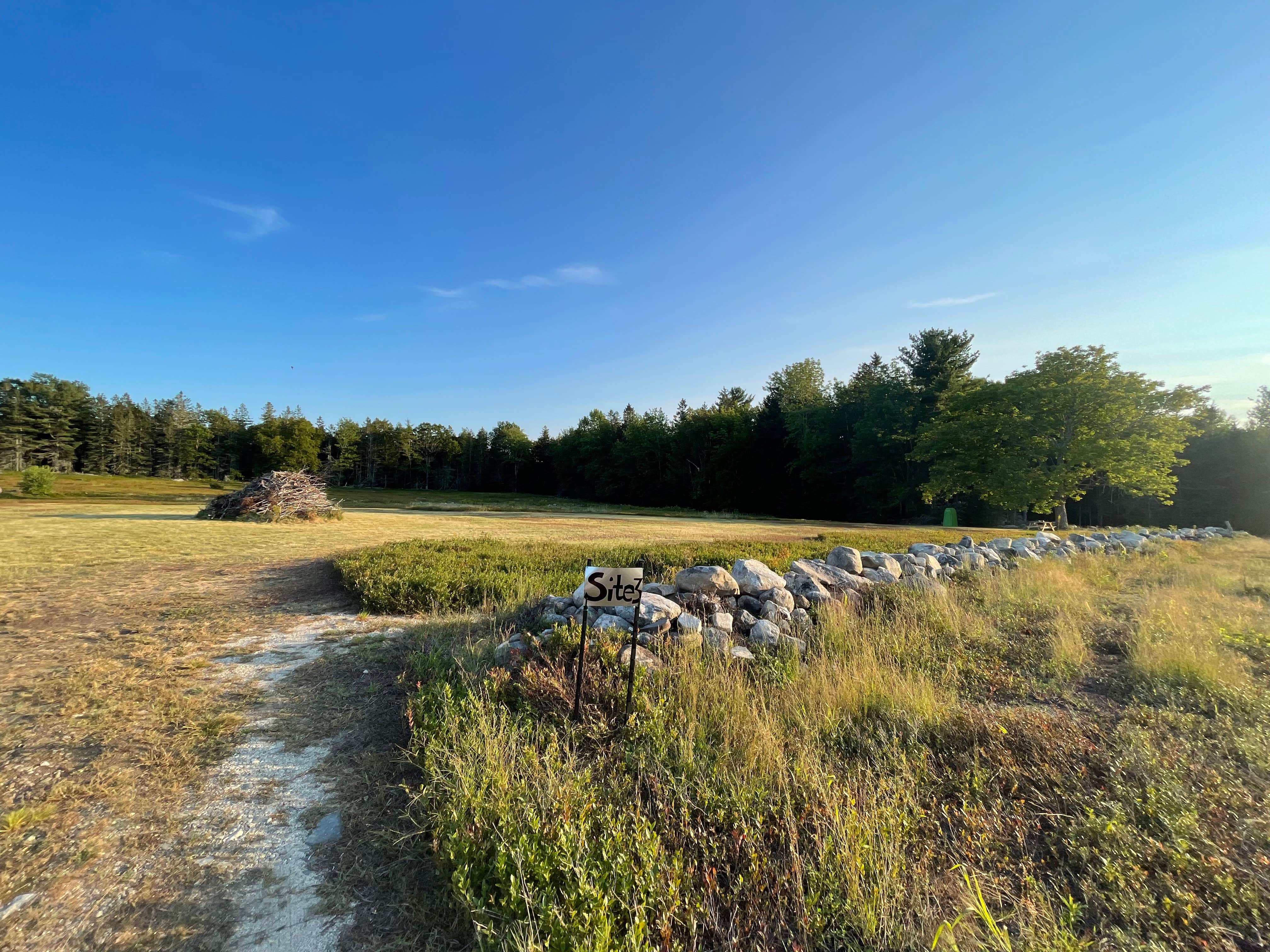 Camper-submitted photo at Maine Wild Blueberry Bliss near Alna, ME