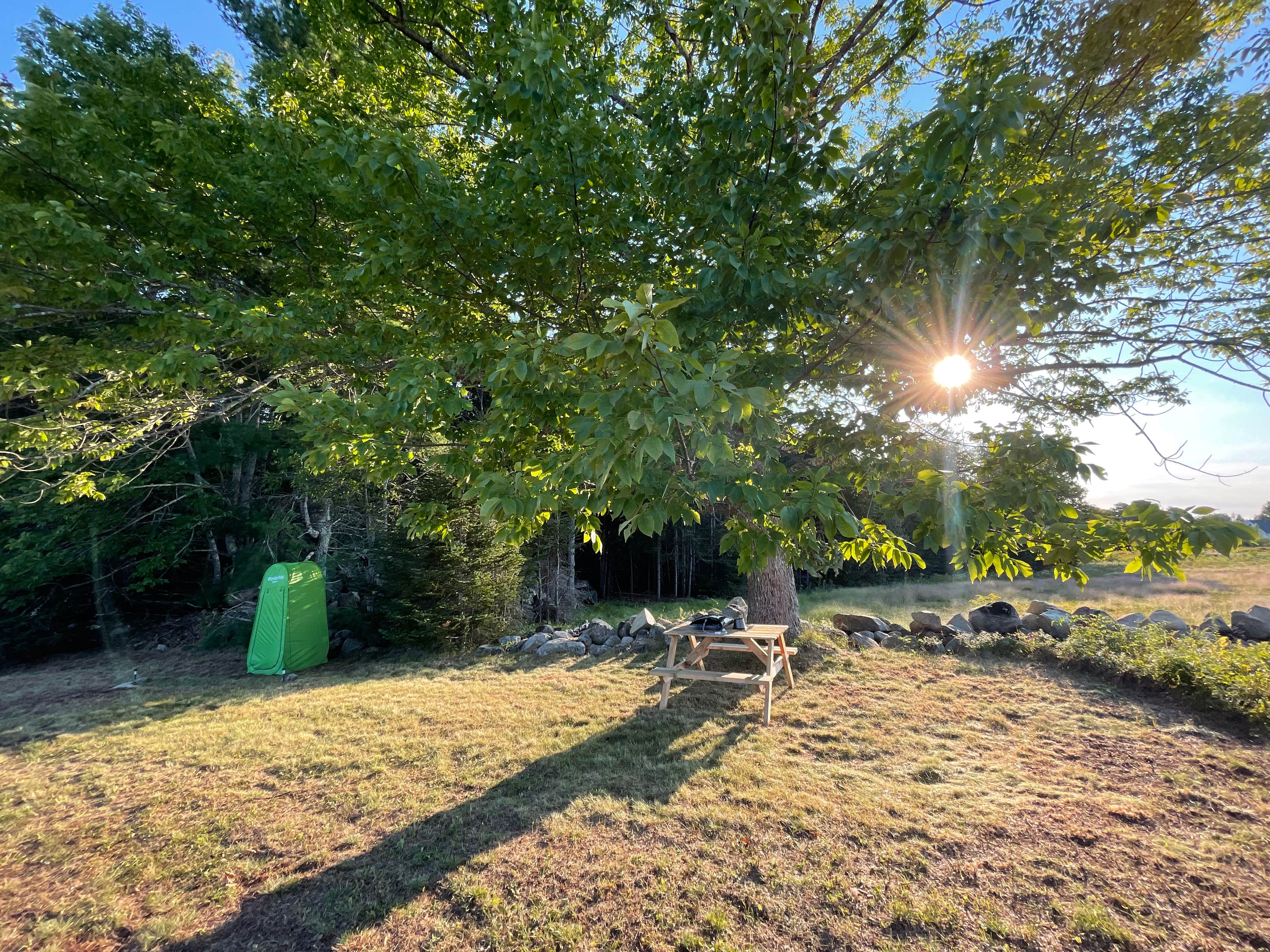 Camper-submitted photo at Maine Wild Blueberry Bliss near Sandy Point, ME