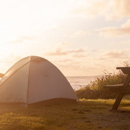Public Campgrounds: Kalaloch Campground - group — Olympic National Park