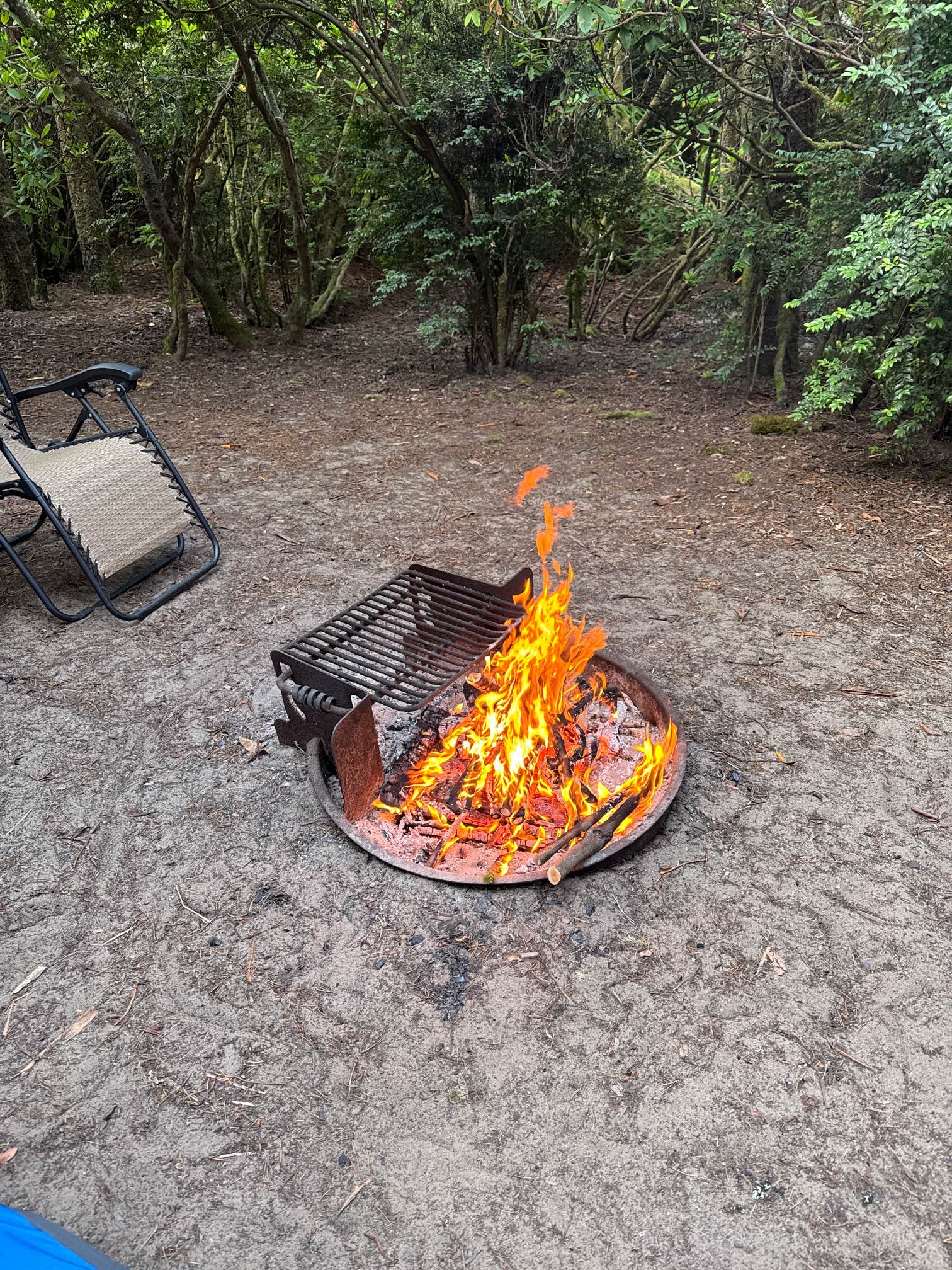 Camper-submitted photo at Harbor Vista Campground near Florence, OR