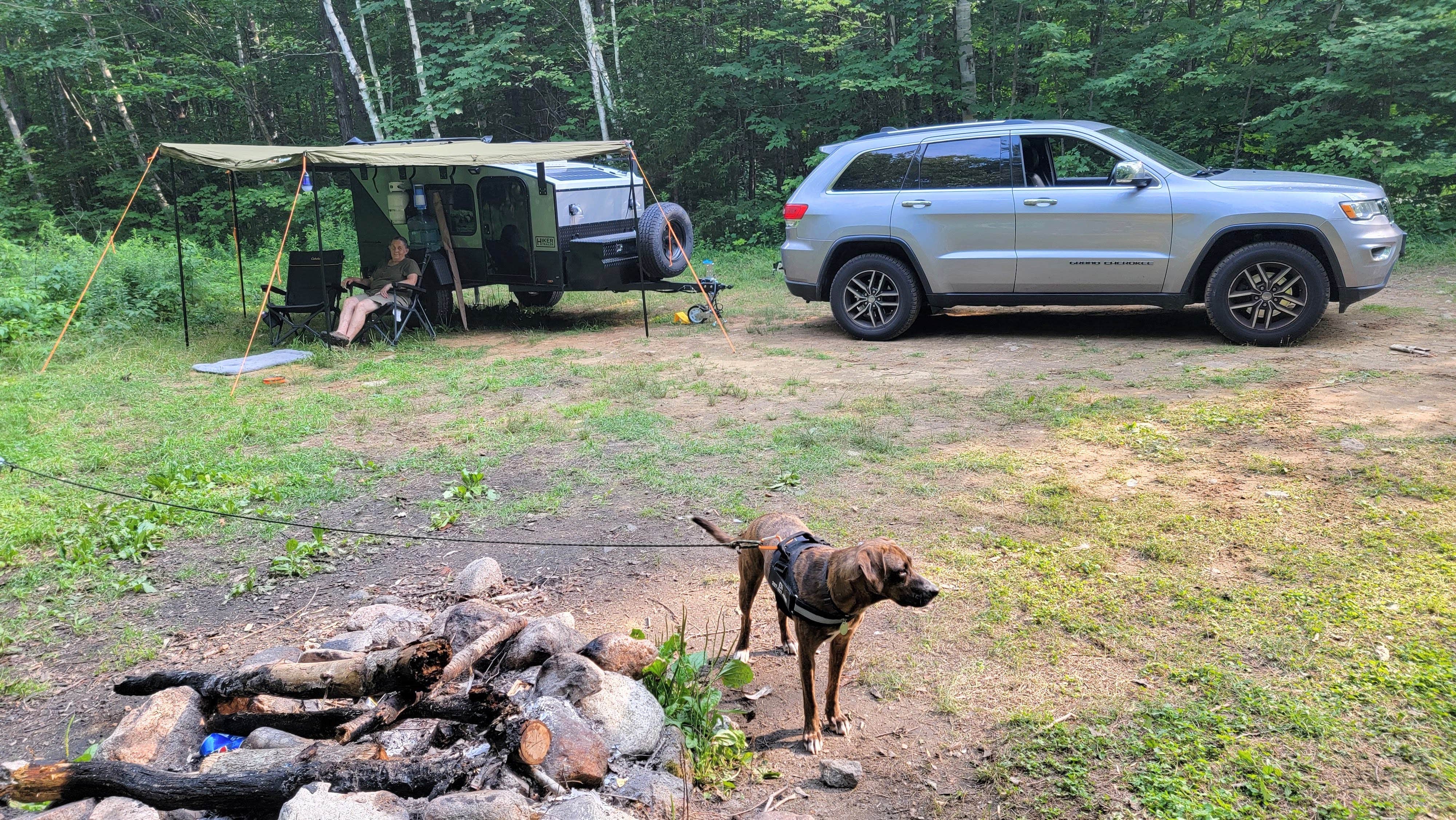 Bob G.'s photo of camping with pets at Town Hall Road Dispersed near North Waterford, ME