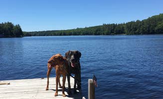 The Dyrt's photo of camping with pets at The Lost Boys Hideout Rock'n Summer near Bennington, NH