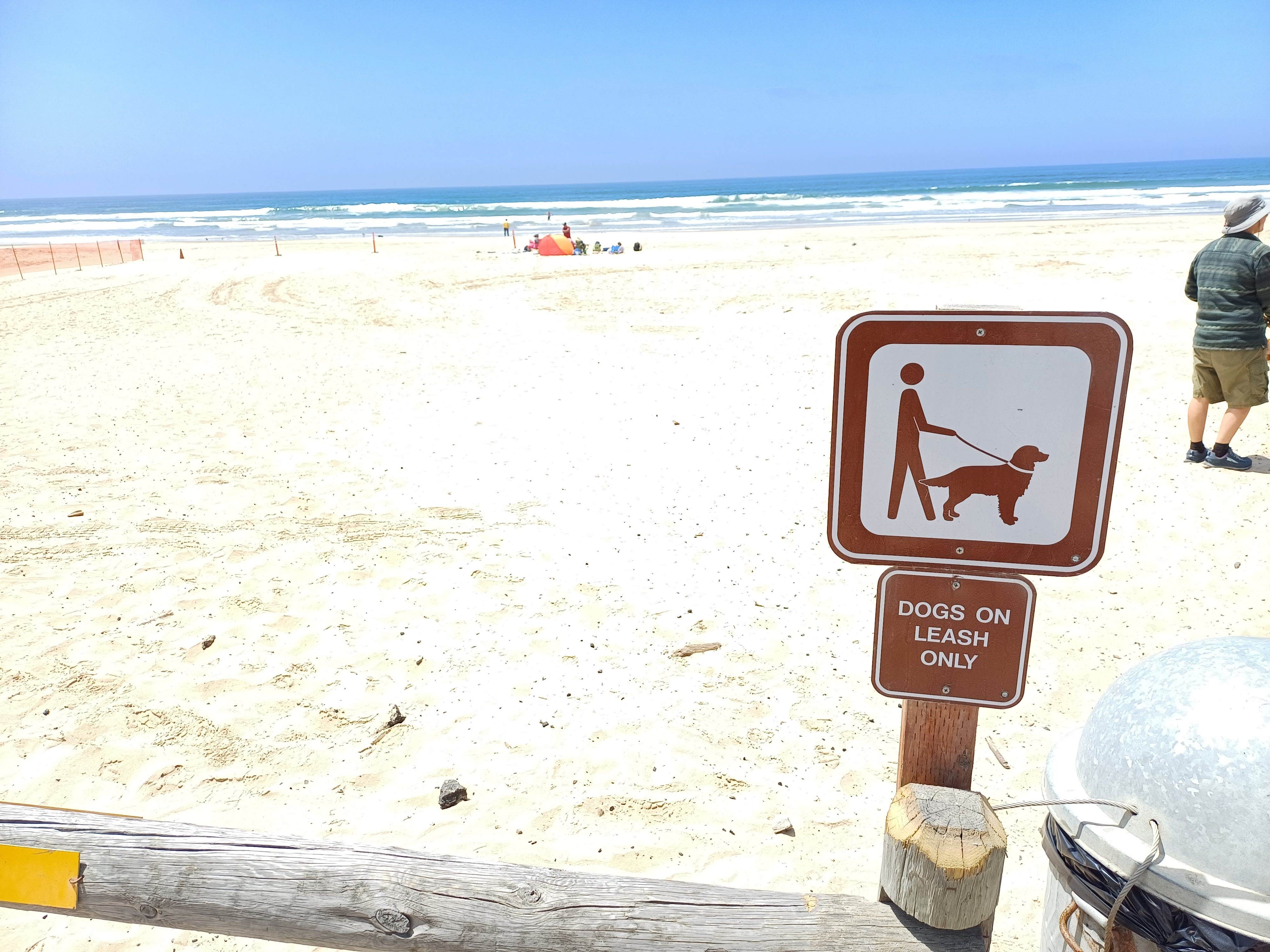 Camper-submitted photo at Oceano Dunes State Vehicular Recreation Area Campground near Santa Maria, CA