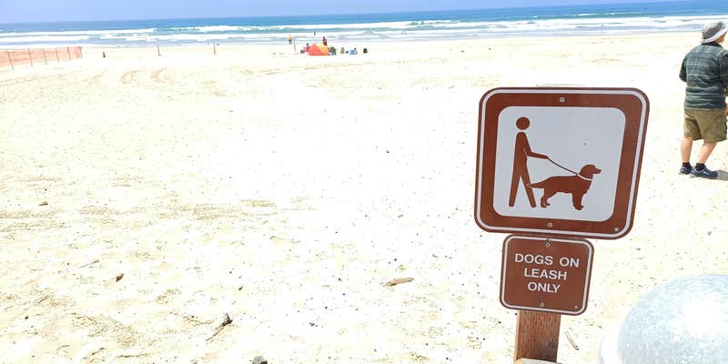 Camper submitted image from Oceano Dunes State Vehicular Recreation Area Campground