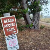 Review photo of Oceano County Campground by Laura M., August 17, 2024