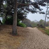 Review photo of Oceano County Campground by Laura M., August 17, 2024