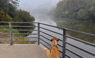Laura M.'s photo of camping with pets at Oceano Campground — Pismo State Beach near Santa Maria, CA