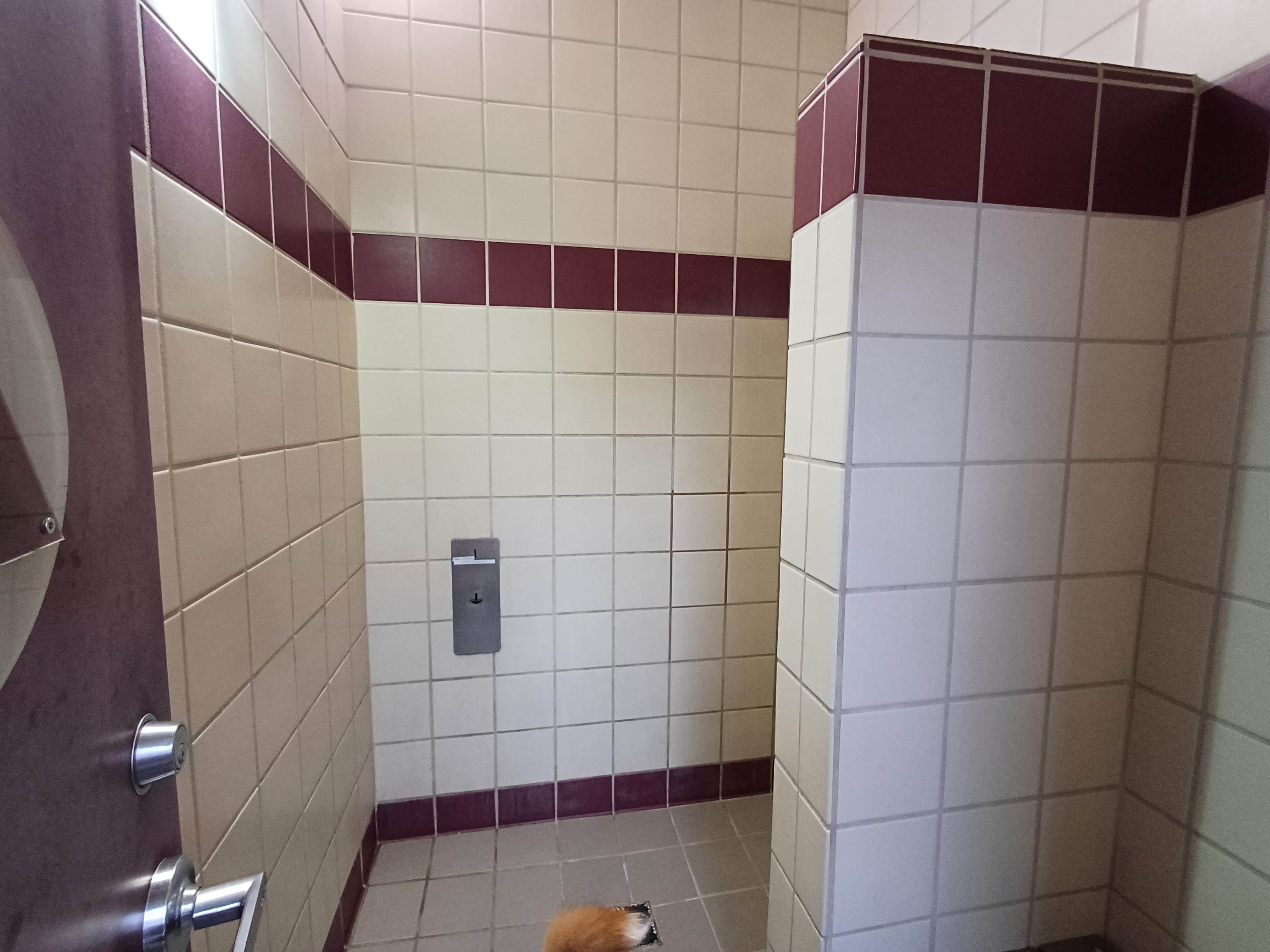 Laura M.'s photo of camping with pets at Oceano Campground — Pismo State Beach near Santa Maria, CA