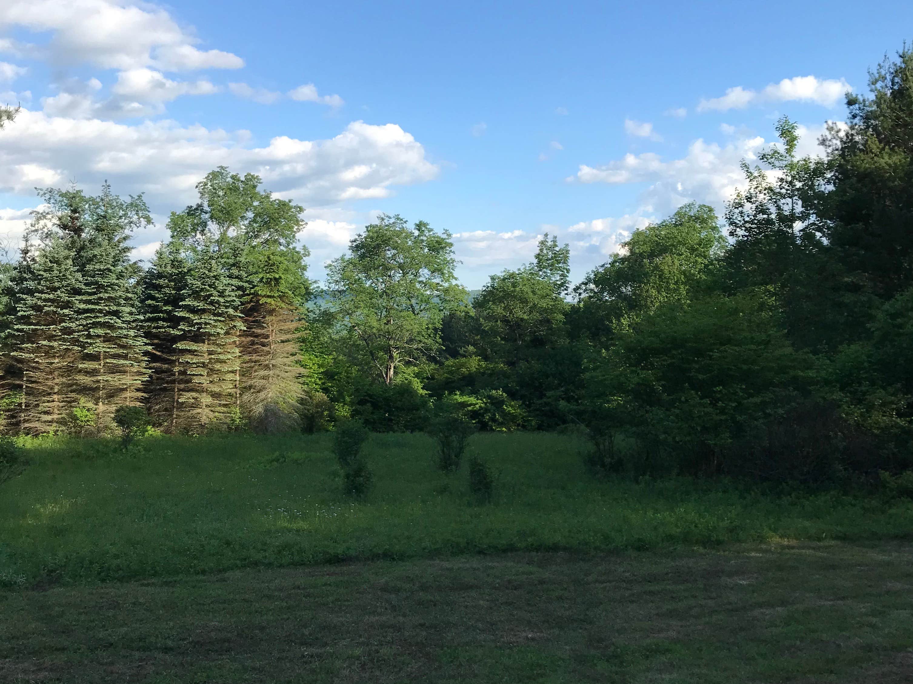 Nature