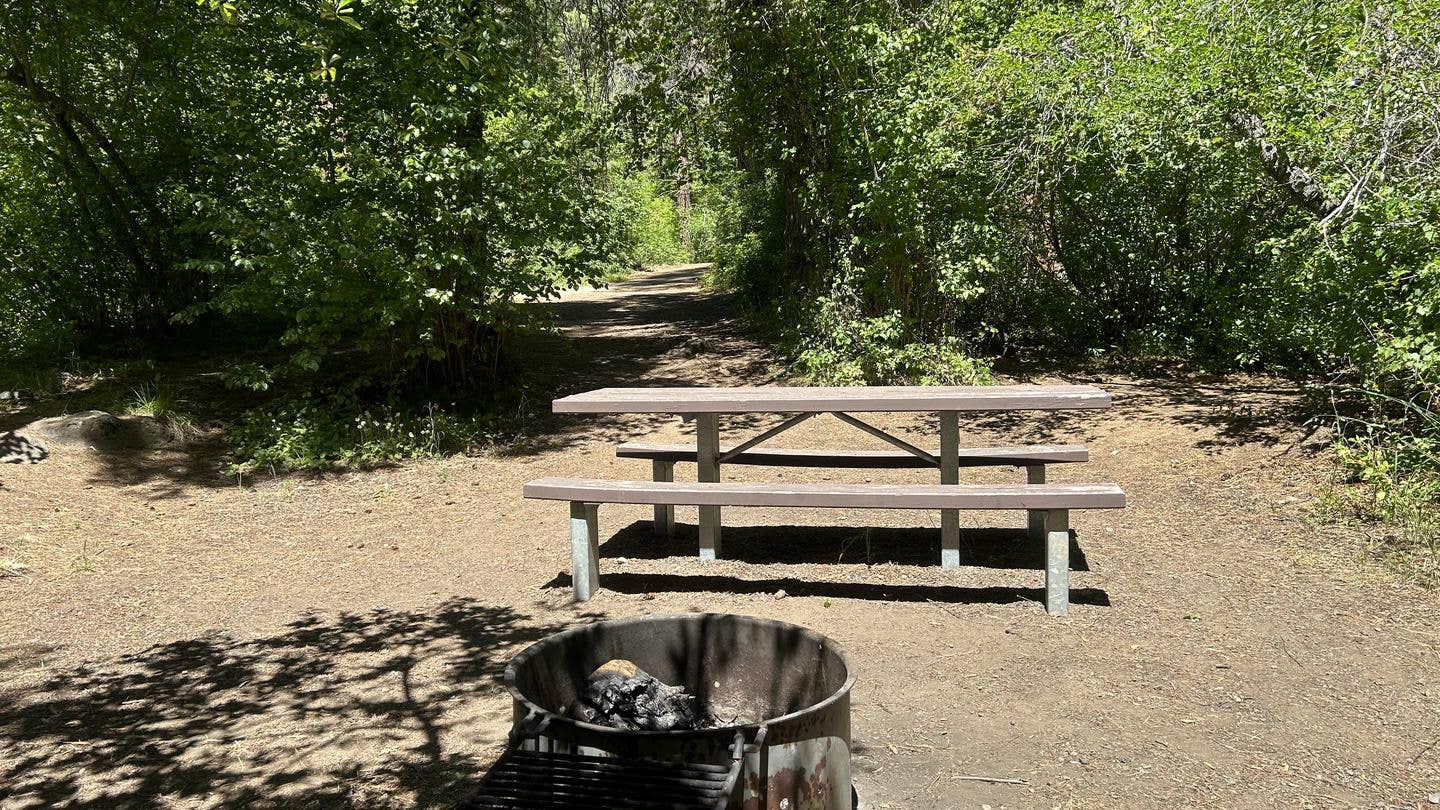 Camper submitted image from Brownlee - 2