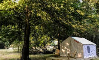 The Dyrt's photo at The Vineyard near Elk Grove, CA