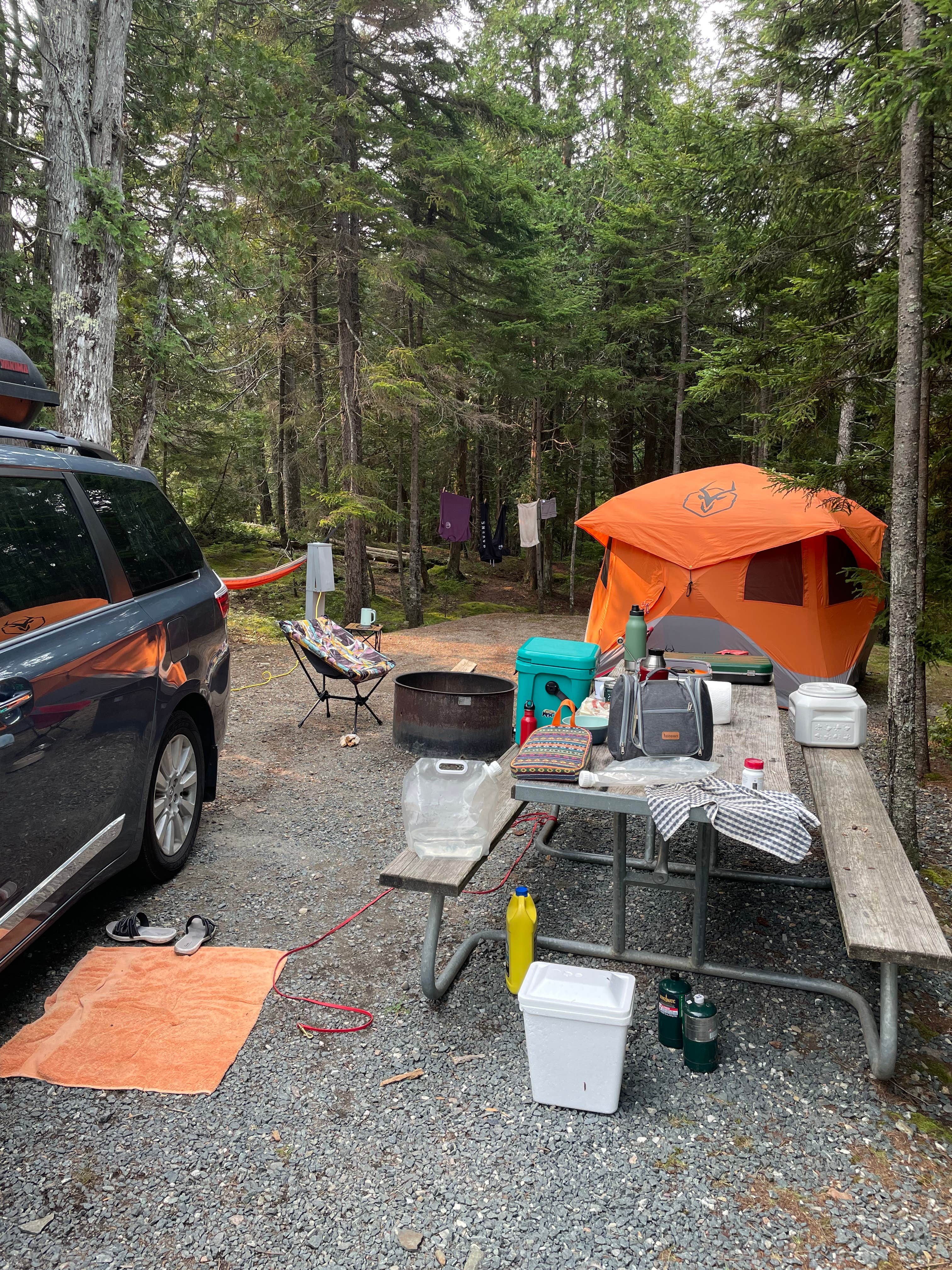 Sue J.'s photo at Schoodic Woods Campground — Acadia National Park near Addison, ME