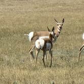 Review photo of Buffalo Gap Dispersed Camping by ron R., August 19, 2024