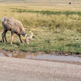 Review photo of Buffalo Gap Dispersed Camping by ron R., August 19, 2024