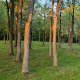 Review photo of High Island Creek Park by ron R., August 14, 2024