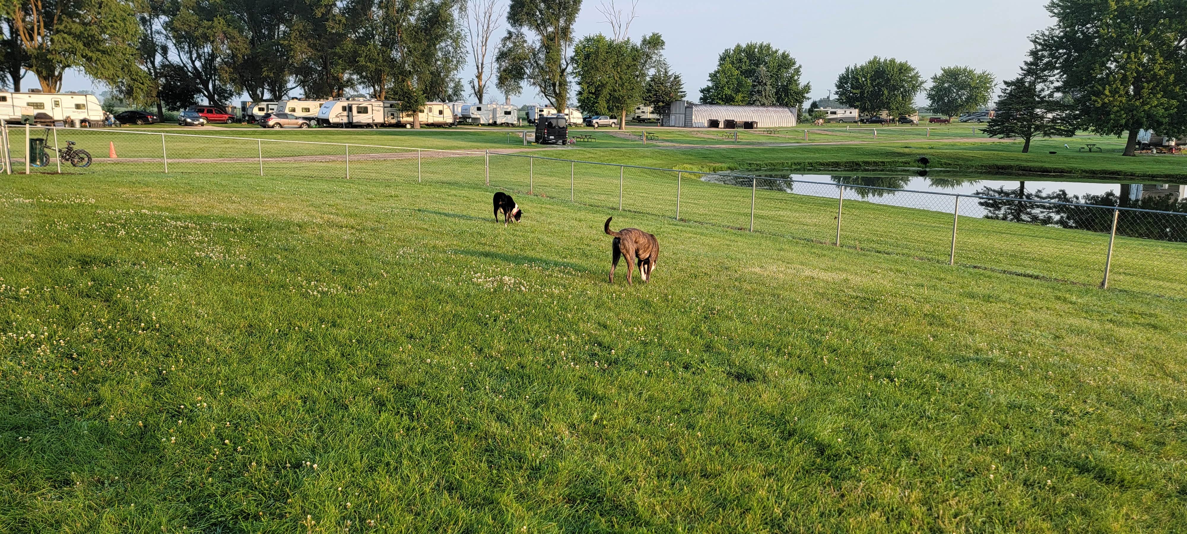 Camper-submitted photo at Lehmans Lakeside RV Resort near Kirkland, IL
