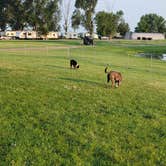 Review photo of Lehmans Lakeside RV Resort by ron R., August 19, 2024