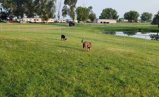 ron R.'s photo of camping with pets at Lehmans Lakeside RV Resort near Wheaton, IL