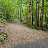 Review photo of Andrew's Cove Campground — Chattahoochee Oconee National Forest by Angela A., August 19, 2024