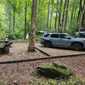 Review photo of Andrew's Cove Campground — Chattahoochee Oconee National Forest by Angela A., August 19, 2024