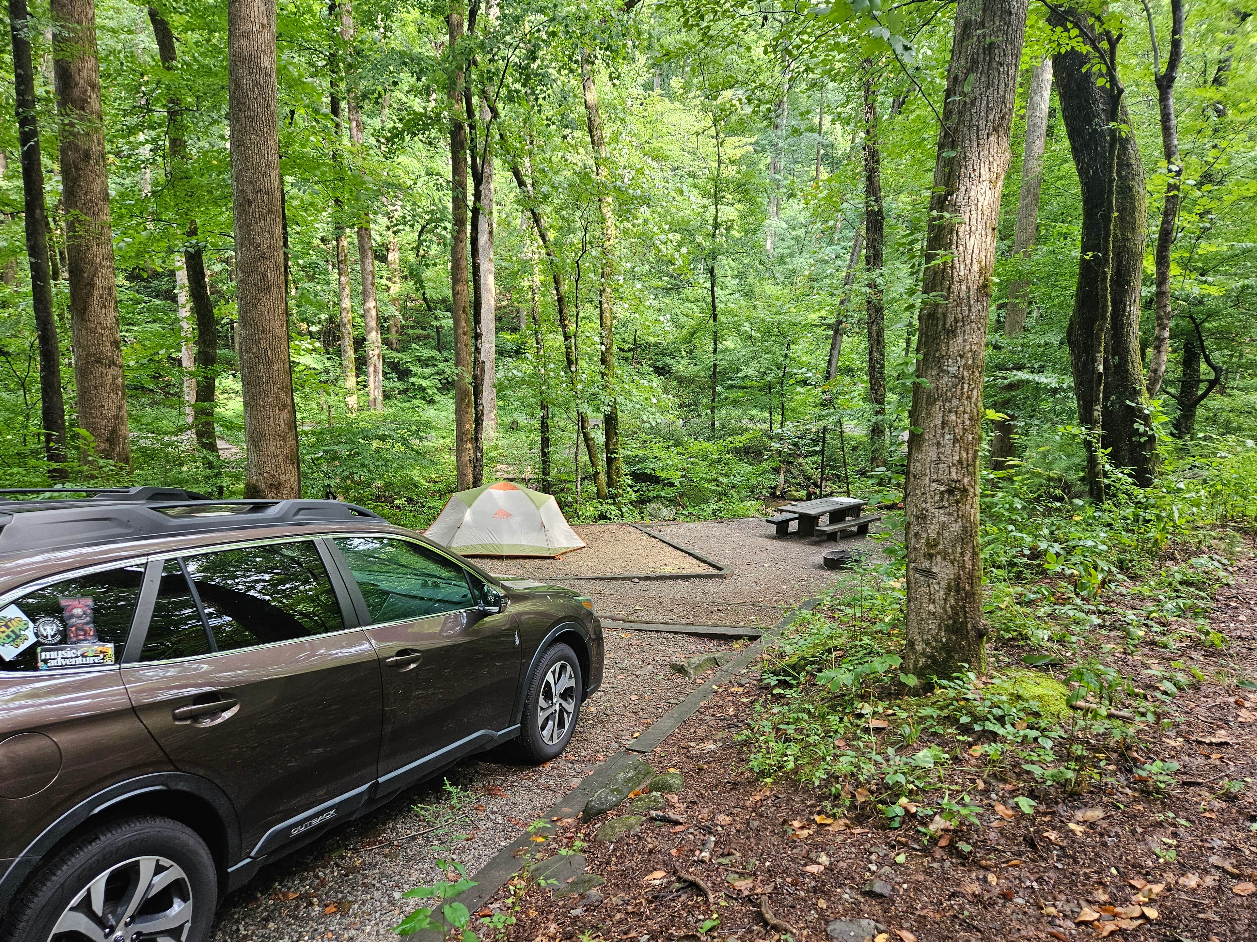 Camper submitted image from Andrew's Cove Campground — Chattahoochee Oconee National Forest - 1