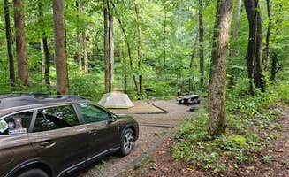 Angela A.'s photo at Andrew's Cove Campground — Chattahoochee Oconee National Forest near Sautee Nacoochee, GA