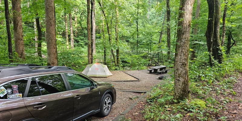 Camper submitted image from Andrew's Cove Campground — Chattahoochee Oconee National Forest