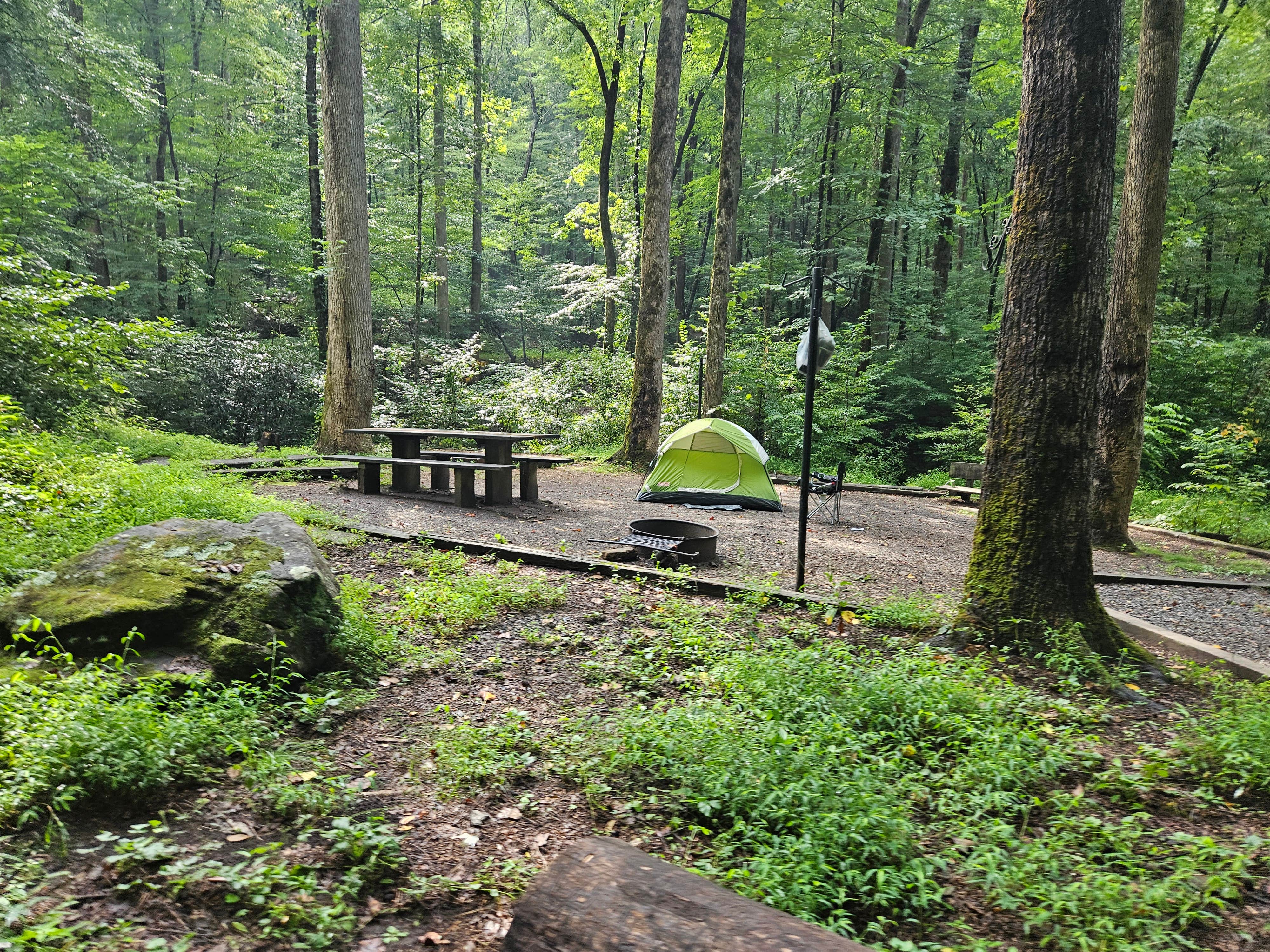 Angela A.'s photo at Andrew's Cove Campground — Chattahoochee Oconee National Forest near Cleveland, GA