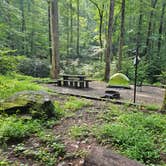 Review photo of Andrew's Cove Campground — Chattahoochee Oconee National Forest by Angela A., August 19, 2024